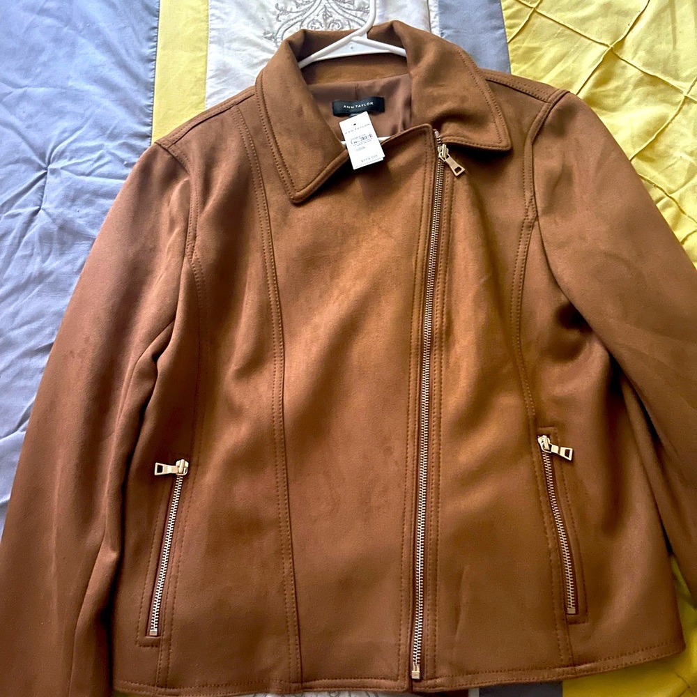 Ann Taylor